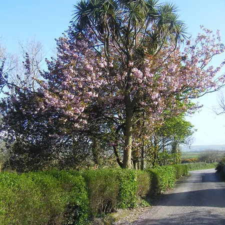 Séjour à la ferme Killfountain Farm Dingle