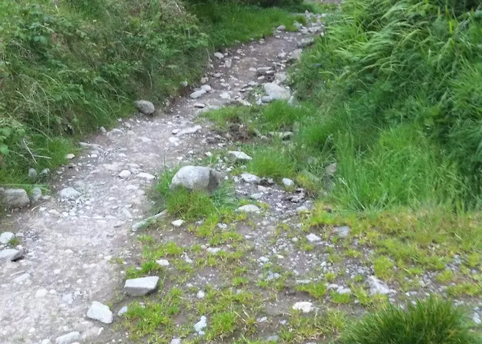 Séjour à la ferme Killfountain Farm *