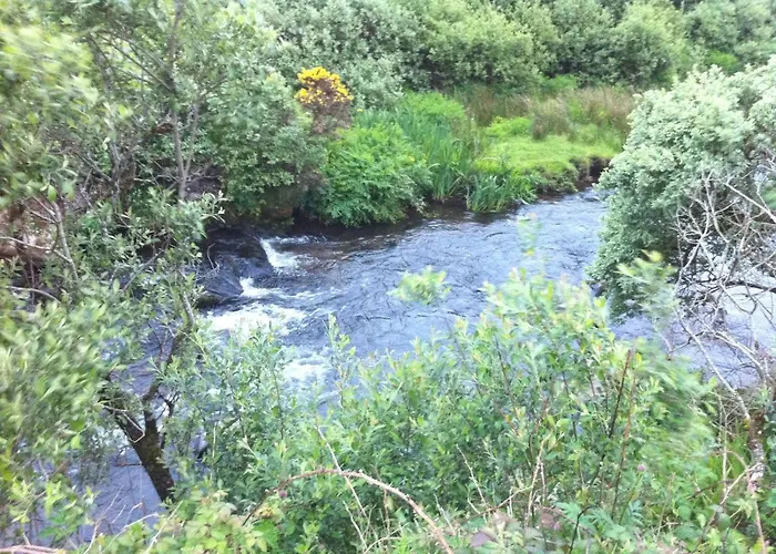 Farm stay Killfountain Farm