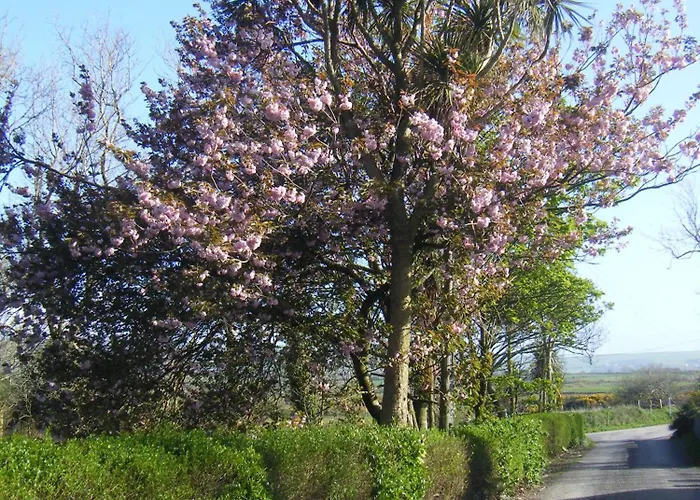 Farm stay Killfountain Farm Dingle