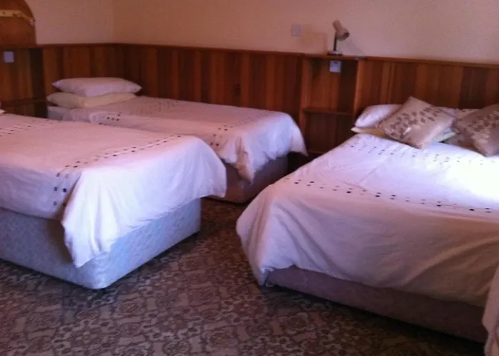 Killfountain Farm Séjour à la ferme Dingle